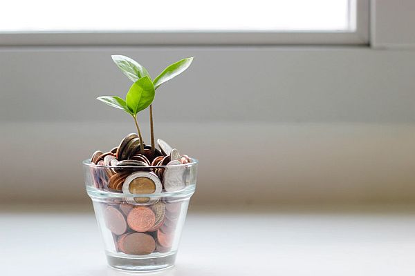 plantje dat groeit in een potje met geld